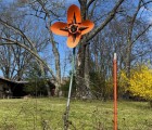 flower roadside sculptures in lamar ar 51966505507 o