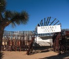 noah purifoy 2