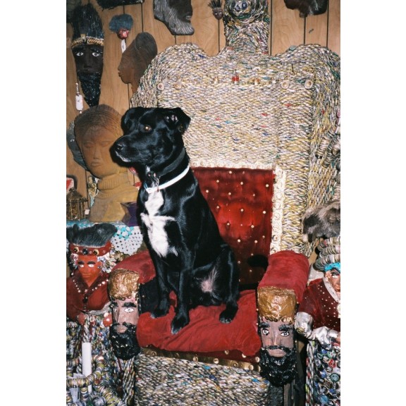 pharoah on the throne 2221061610 o