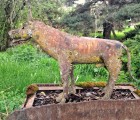 victor bobbie moore junk castle 34511609935 o