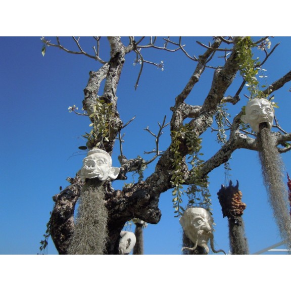 wat rong kuhn chiang rai thailand 5431430990 o v2