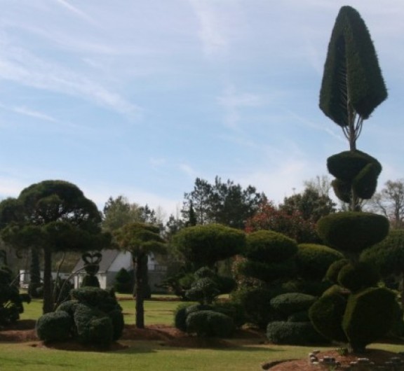 Fryar garden